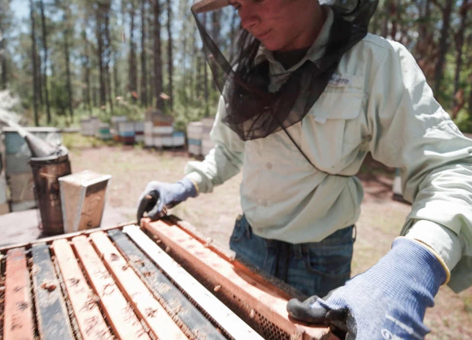 L A I Video   One Mission Many Voices 1