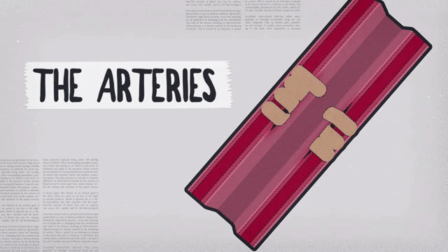 Sxwu J Po Fp E S Sd H Se S S45w A