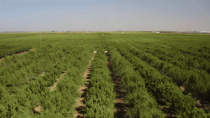 Q3 G K3hiq Qyovmg8 Gx Xe Rz3