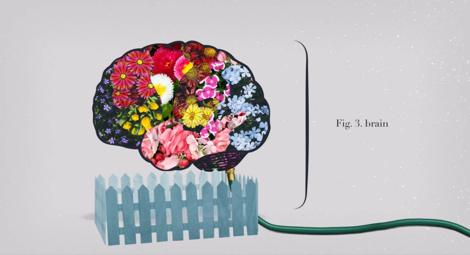 A Teachable Moment Figure Of A Brain