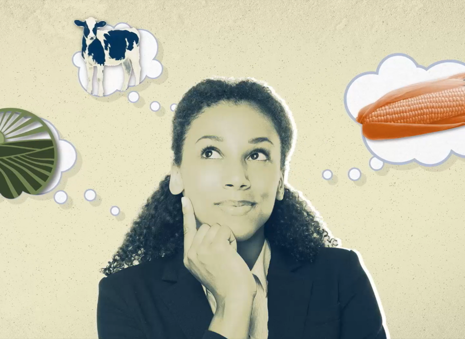 Farm Credit Council Graphic Of Woman