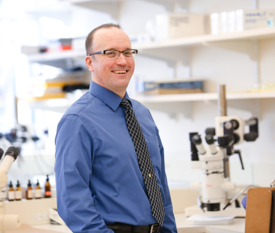 “I Am IH” Recruitment Campaign